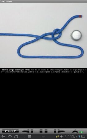 Animated Knots v.1.1