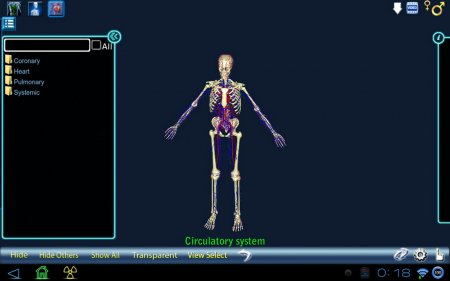 Anatomy 3D  1.3