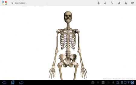 Google Body версия 1.0