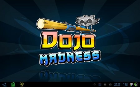 Dojo Madness