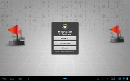 Minesweeper Professional (Сапер) (обновлено до версии 1.16)