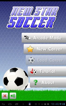 New Star Soccer (обновлено до версии 1.15)