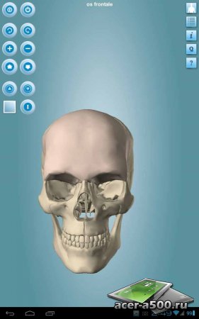 Anatomy 3D Pro - Anatronica (обновлено до версии 2.07)