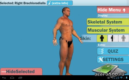 Easy Anatomy 3D(learn anatomy) версия 4.0