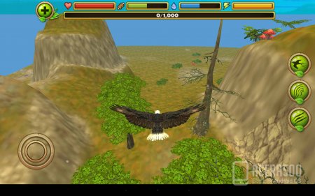 Eagle Simulator v1.0